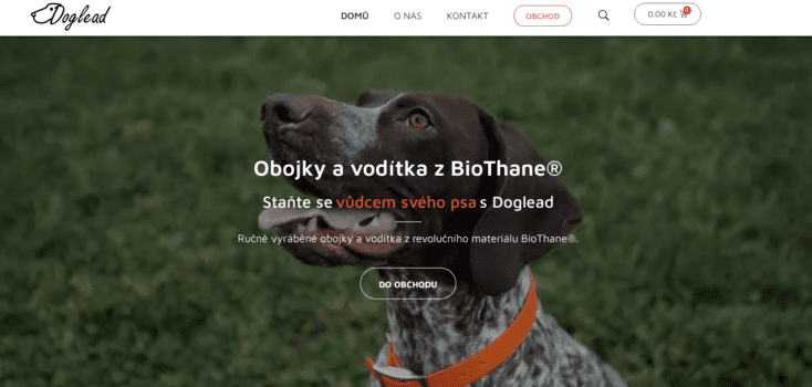 Doglead | eSoul tvoří a optimalizuje webové stránky